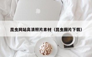 昆明昆虫网站高清照片素材（昆虫图片下载）